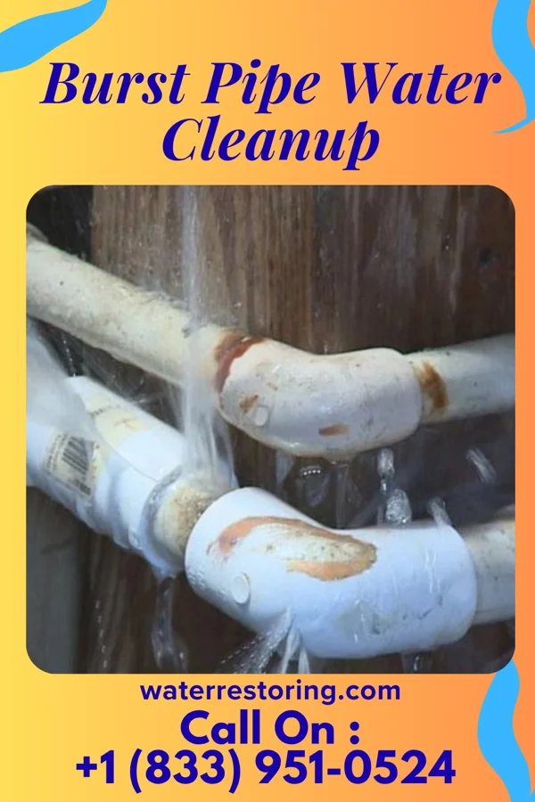 Burst Pipe Water Cleanup in Duran, NM
