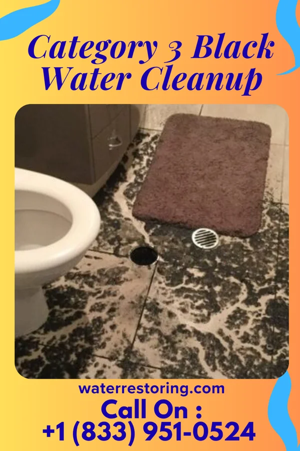 Category 3 Black Water Cleanup in Duran, NM